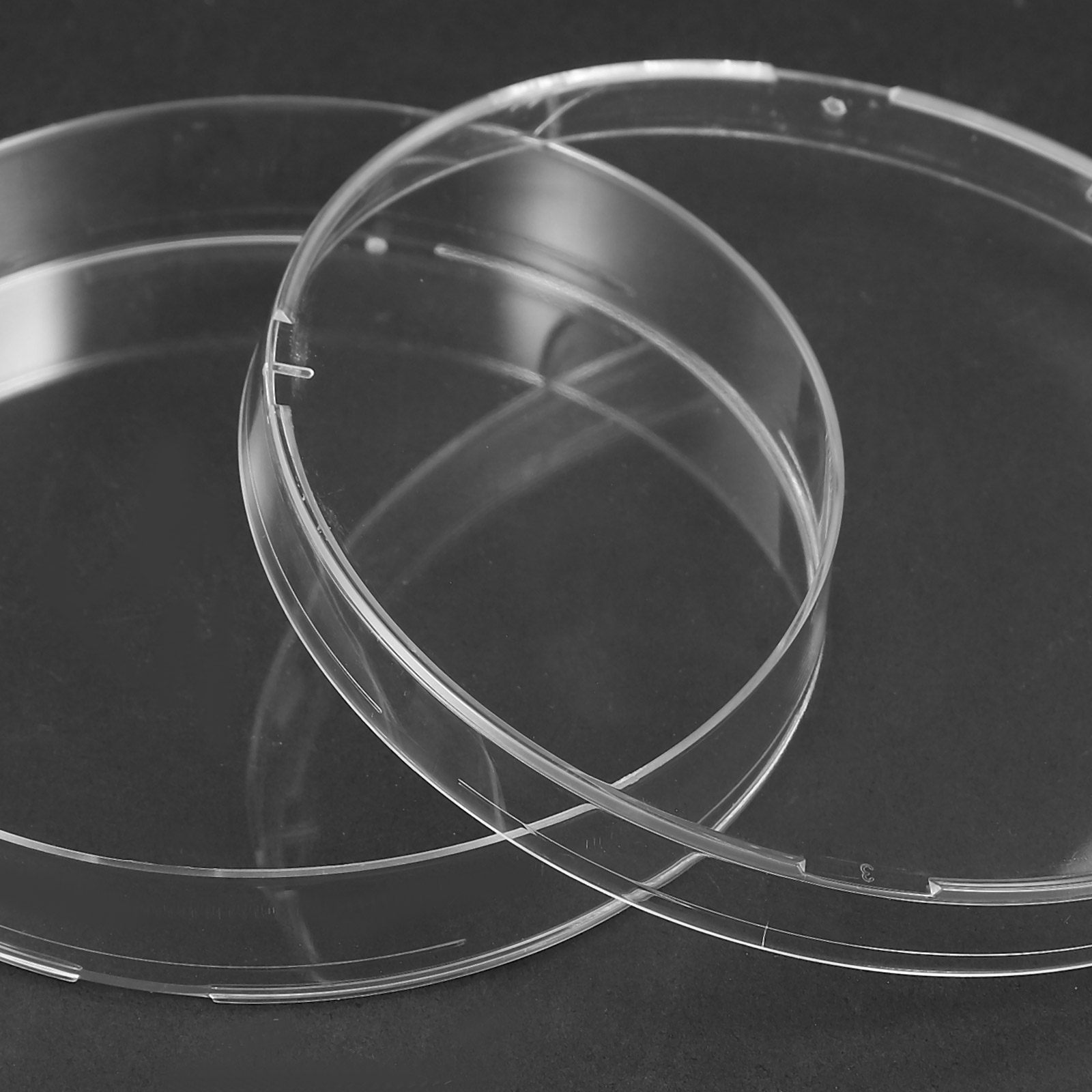 Agar Tissue Culture - 20個入り信頼性の高い滅菌済みペトリ皿（蓋付き）細胞組織アガー実験用培養皿、研究室微生物学研究ツール