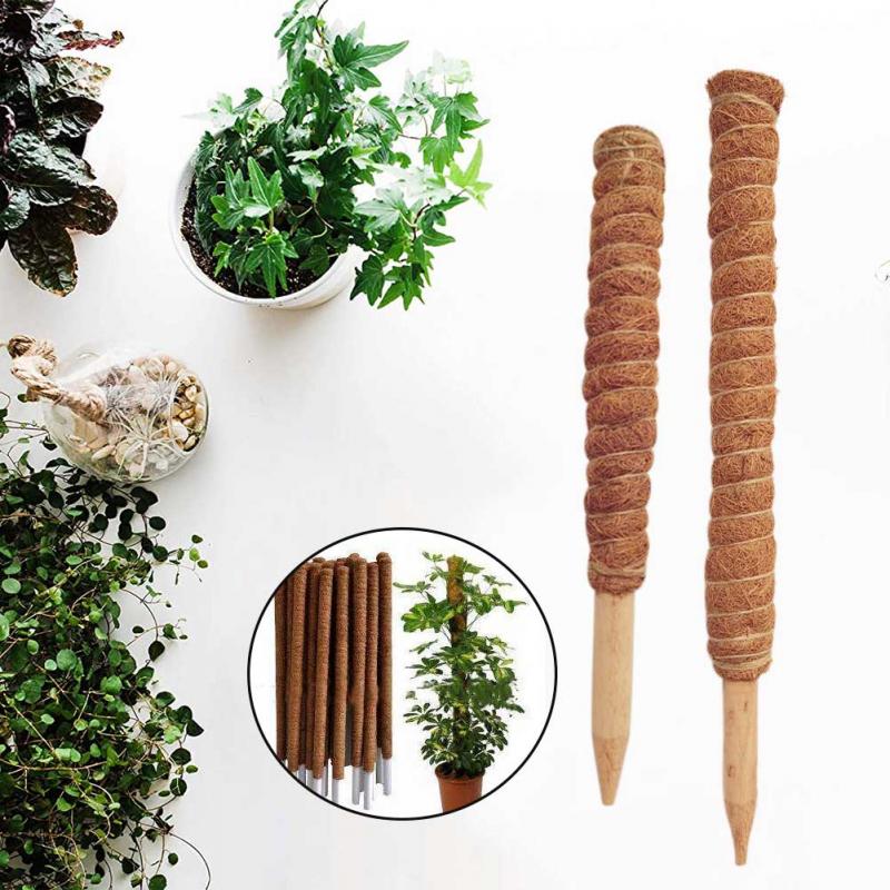 30/40/50 センチメートル植物クライミングココヤシトー - Sphagnum Moss Dry のレビューと価格