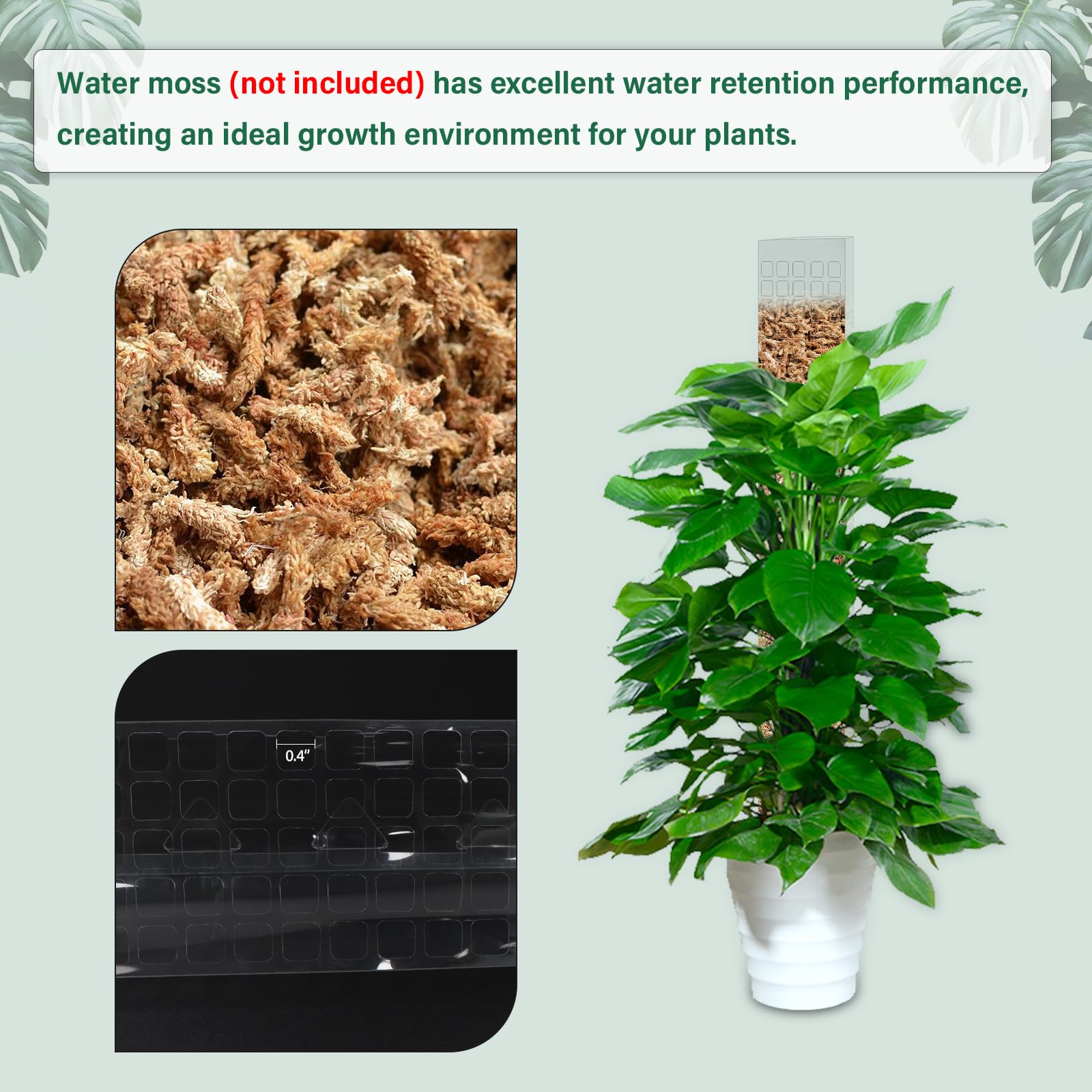 モススティック プラスチック製 植物スタンド 室内用 つる性 - Sphagnum Moss Dry のレビューと価格